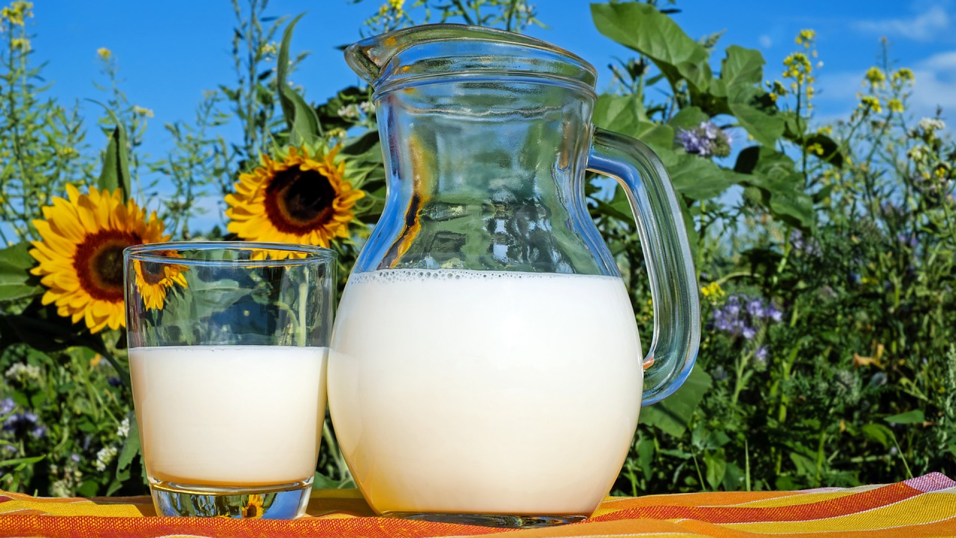 Pourquoi avons-nous besoin de lait ?