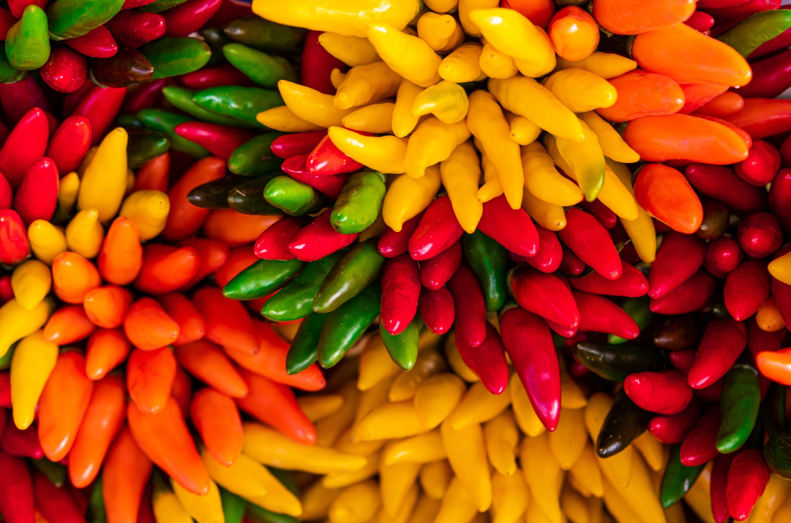 Les produits bio : que savoir à propos ?