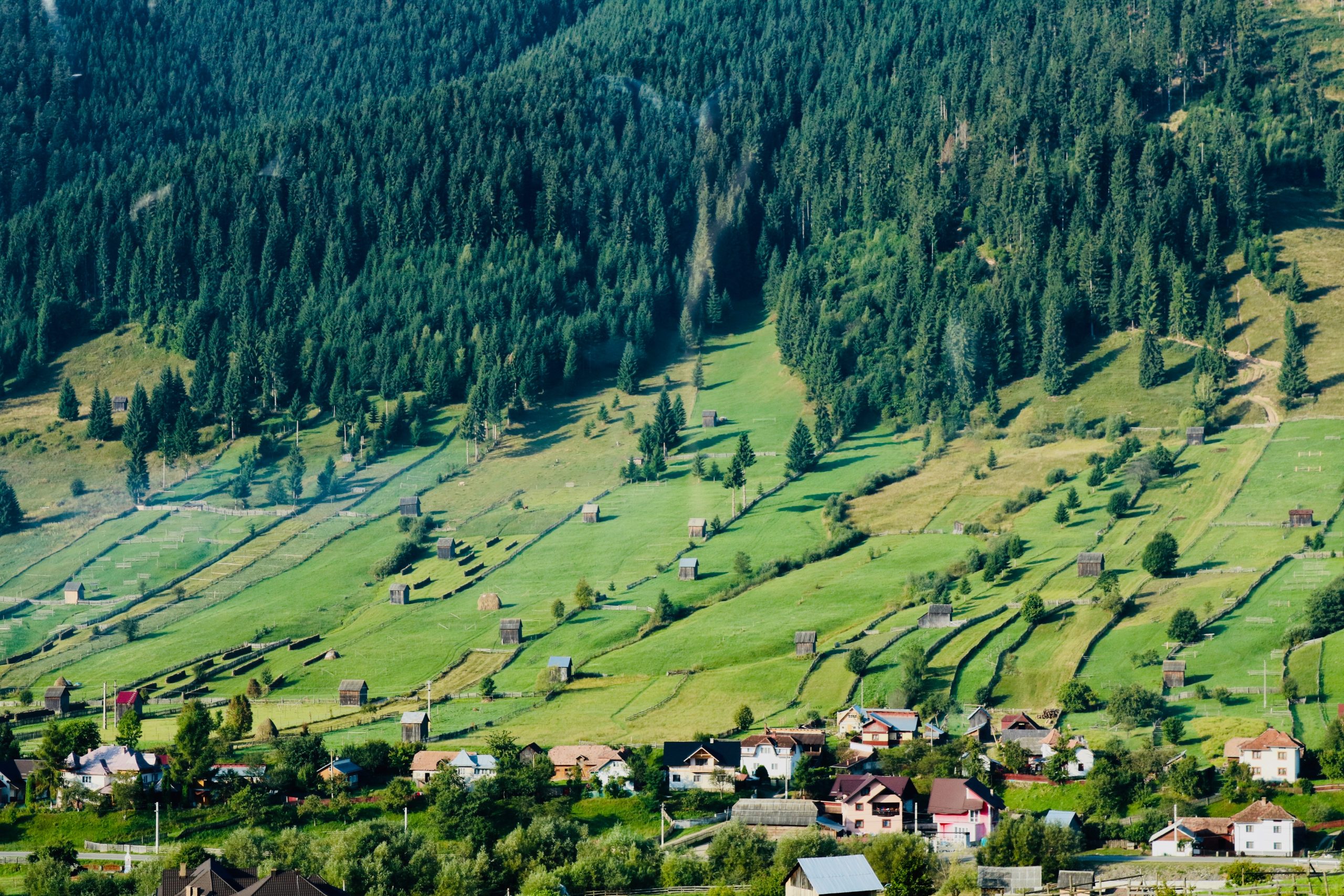 Quels sont les avantages des espaces verts ?