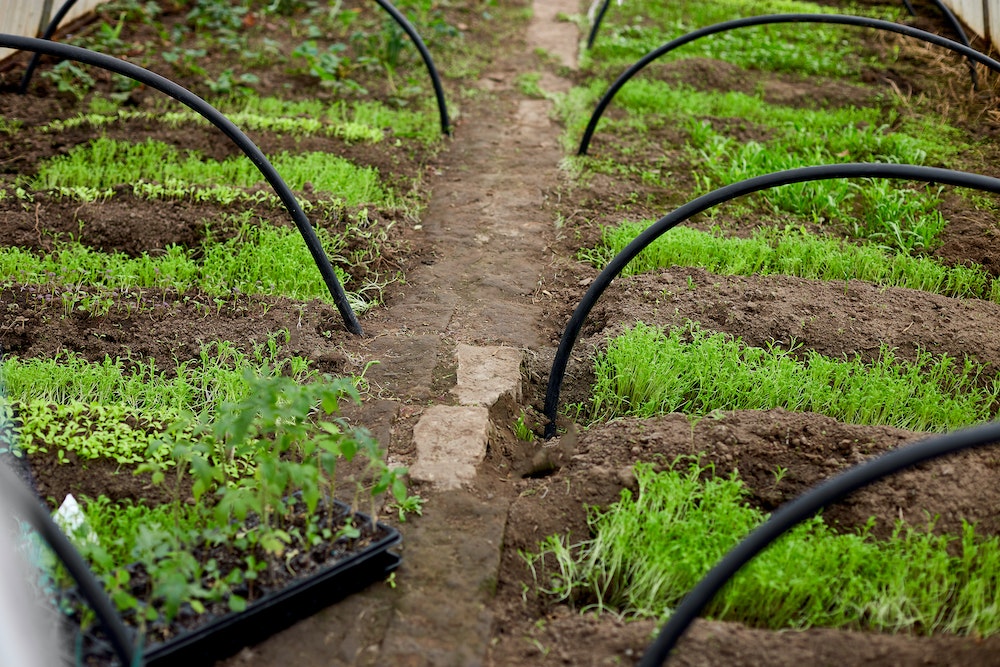 De la baguette magique au compost : La magie cachée derrière le bio