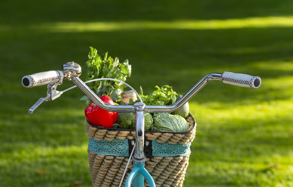 La renaissance du bio : quand Léonard de Vinci rencontre la permaculture