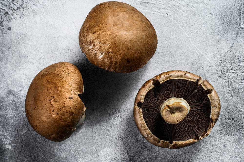 Terroir et nutrition : comment l'origine des aliments bio influe-t-elle sur leurs qualités nutritionnelles ?
