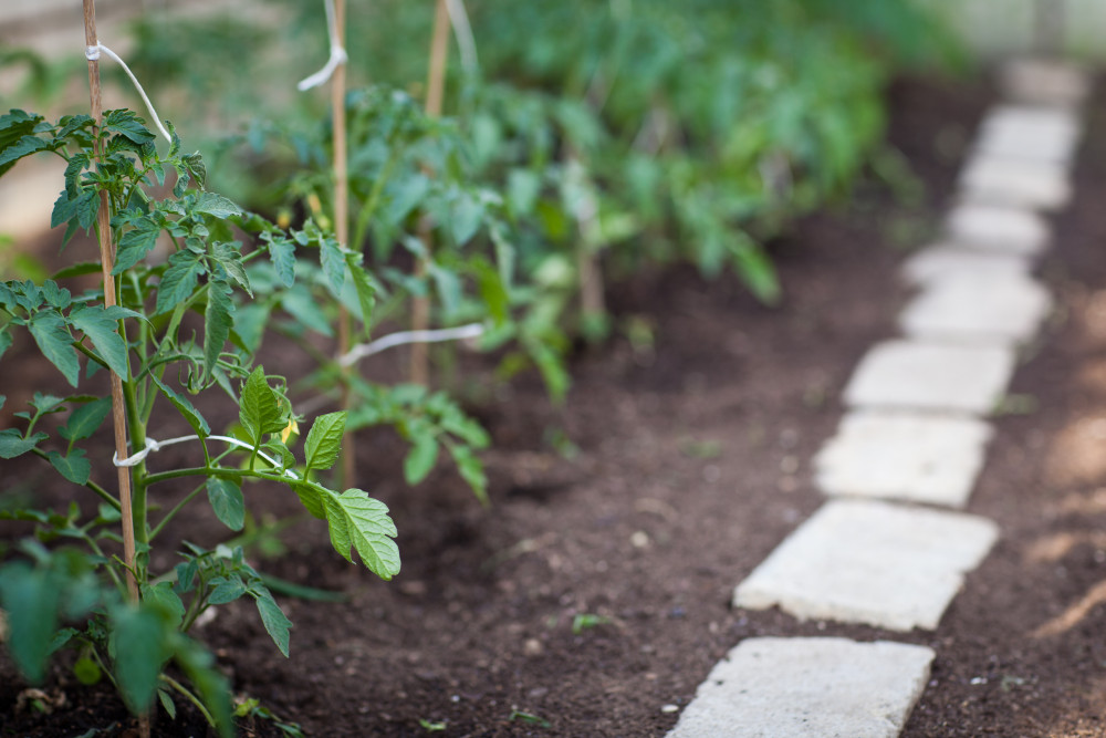 La permaculture : un modèle de santé pour le terroir