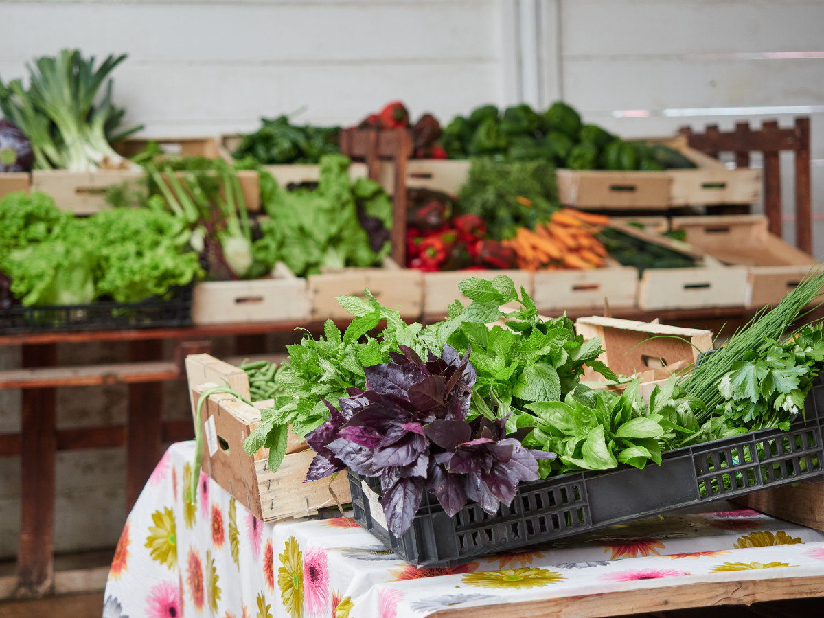Herbes aromatiques du terroir en cuisine : vertus et usages