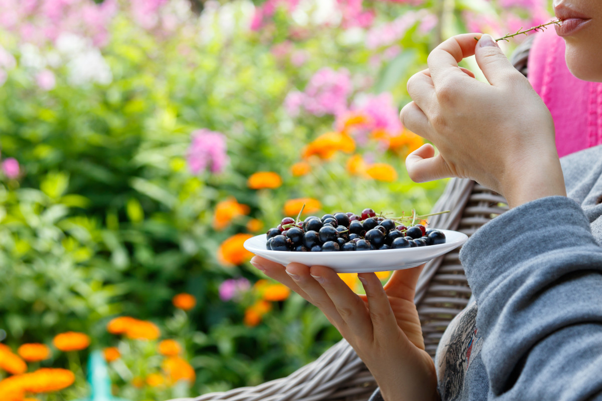 Régimes locavores : l'impact du terroir sur la santé