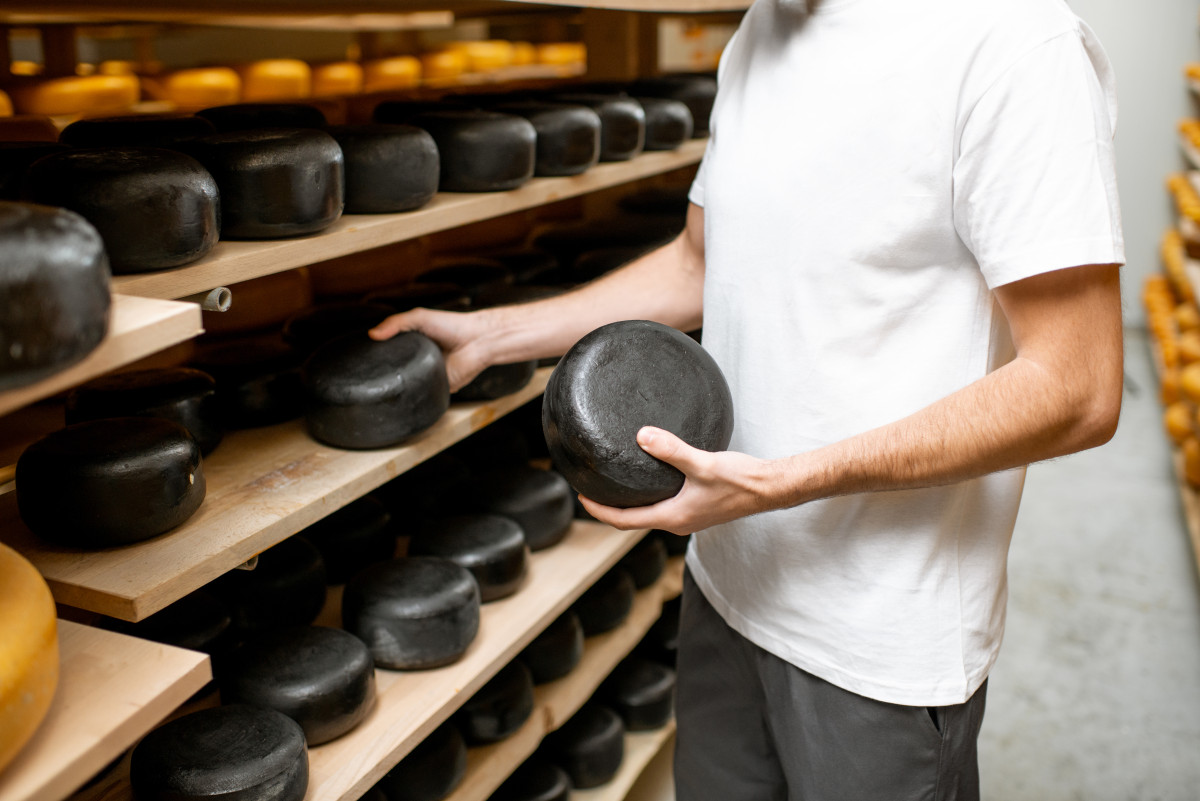 Terroir et fromages : une histoire de goût et de santé