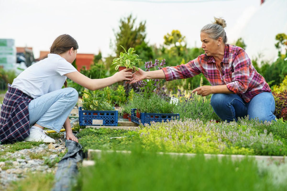 Semences du terroir : la clé pour préserver notre biodiversité