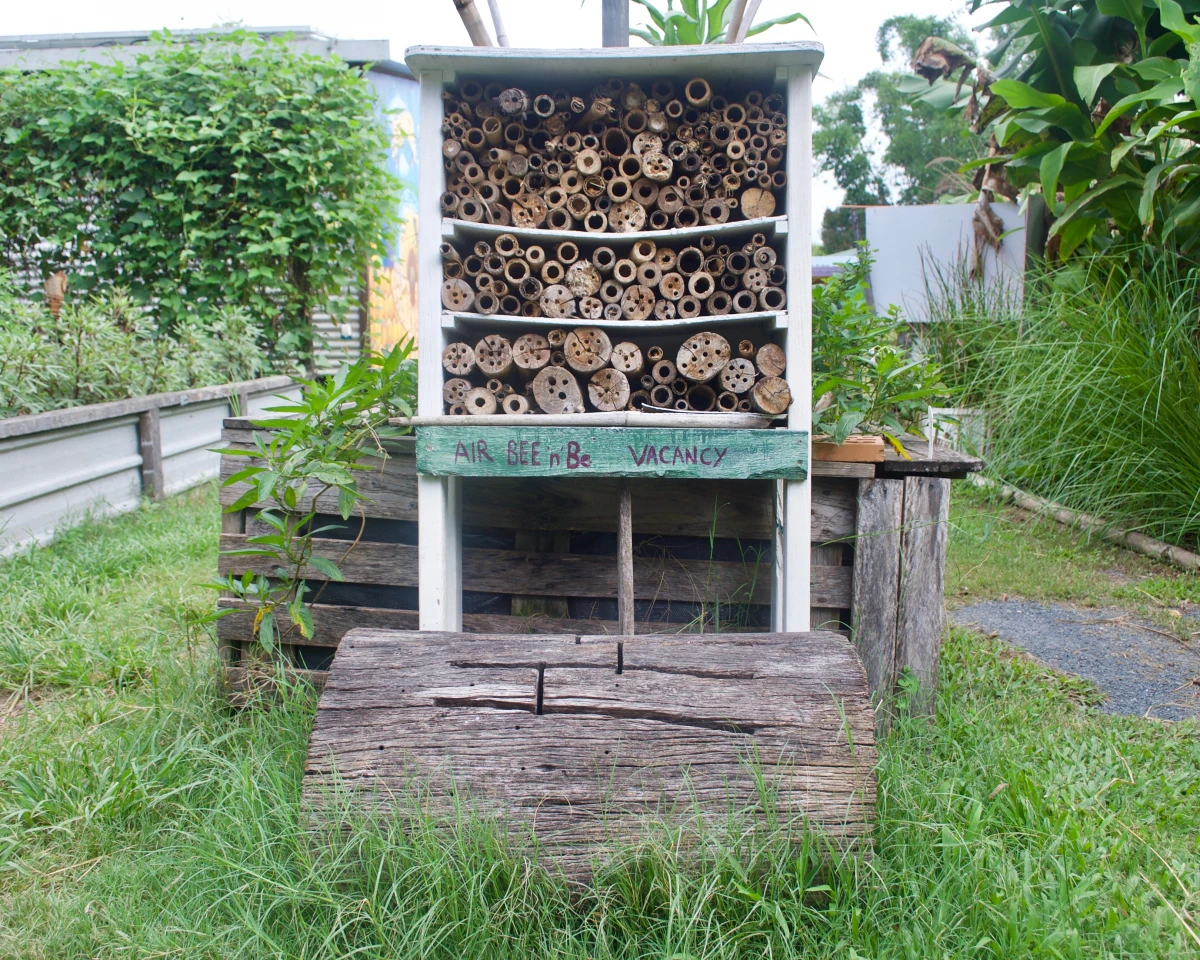 La permaculture : cultiver en harmonie avec la nature et le terroir
