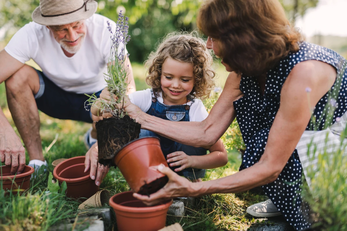 Les secrets des potagers de terroir pour une cuisine saine