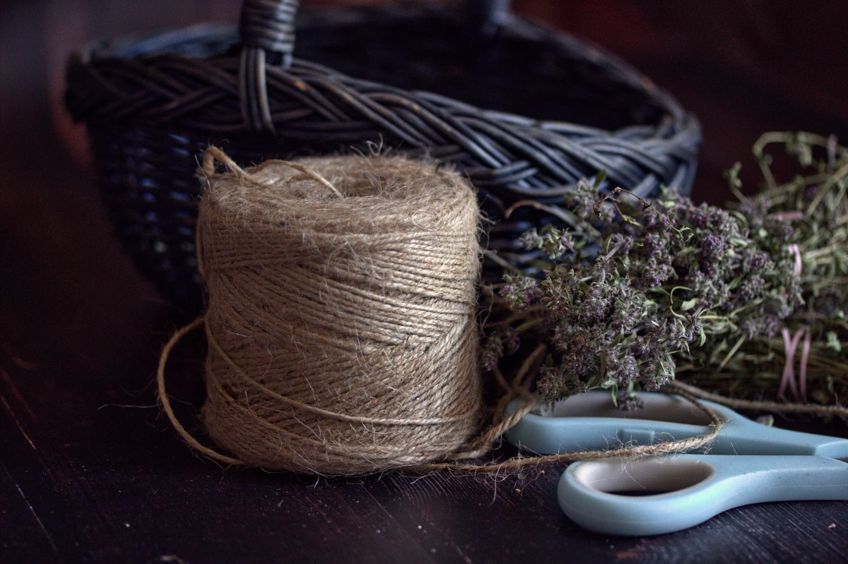 Les vertus insoupçonnées des herbes aromatiques locales dans la cuisine bio