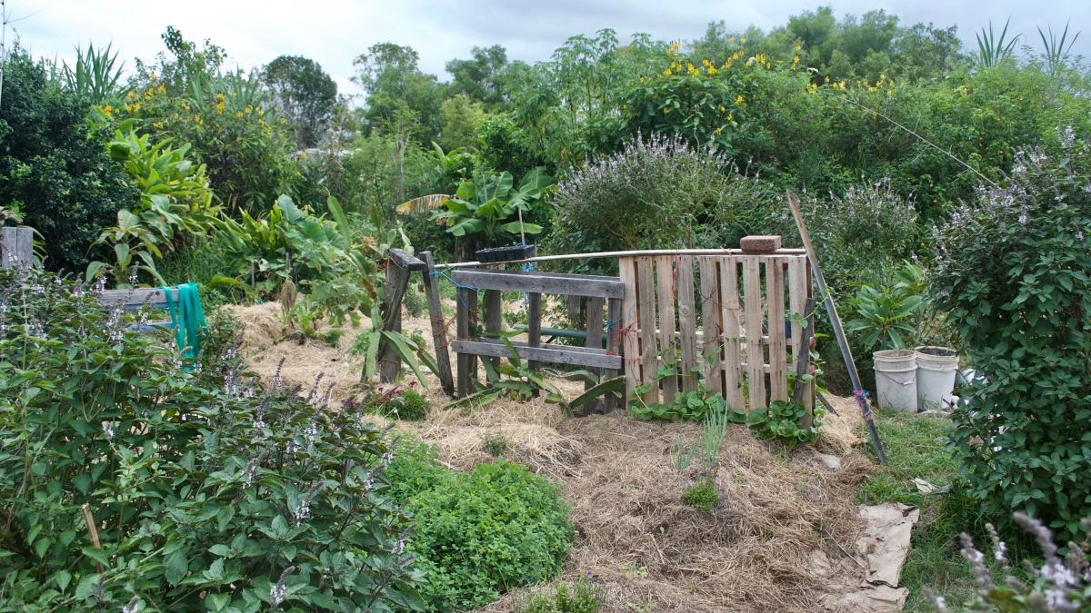 La permaculture : un modèle de développement durable prometteur