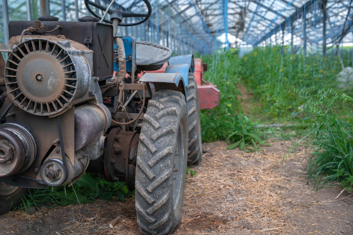Les petites exploitations agricoles biologiques : un modèle économiquement viable ?