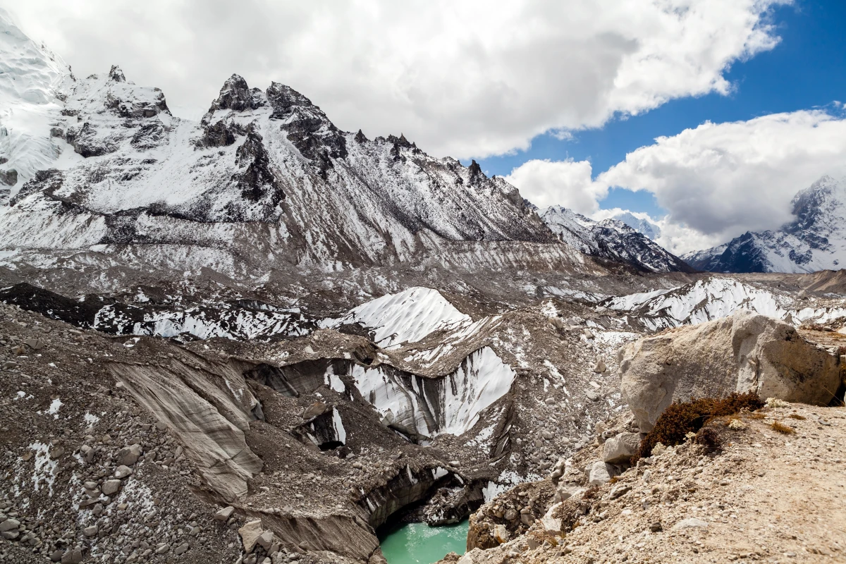 Le bio en action: l'adaptation des pratiques culturales face au changement climatique