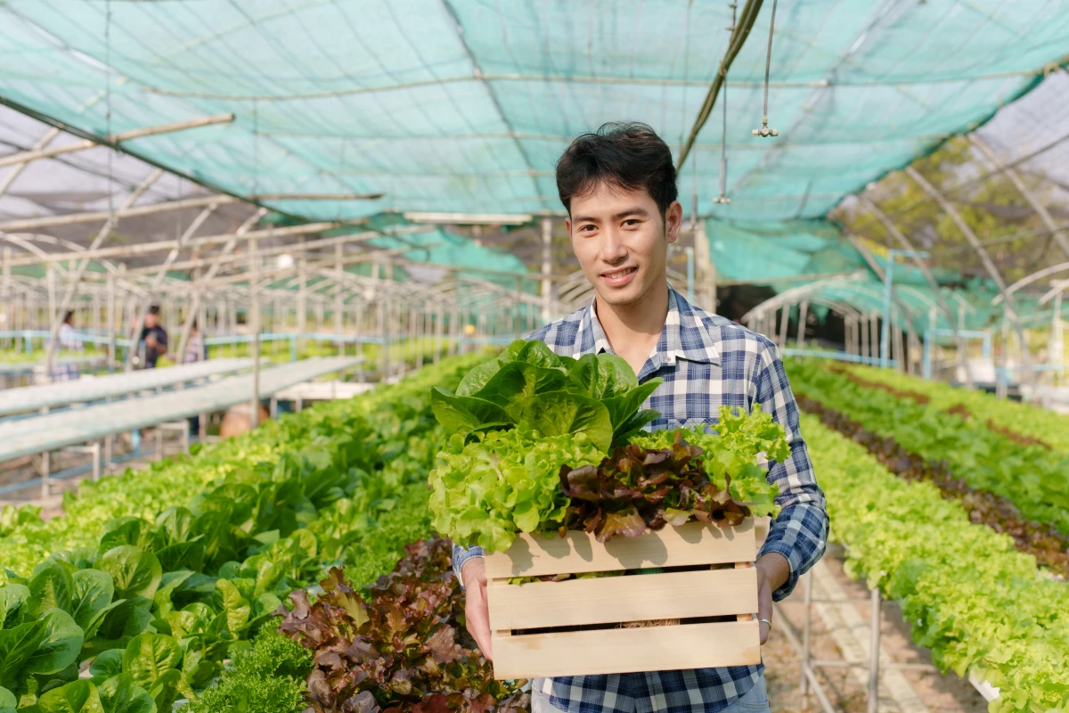La rotation des cultures en agriculture biologique : un levier essentiel pour une production durable et respectueuse de l'environnement